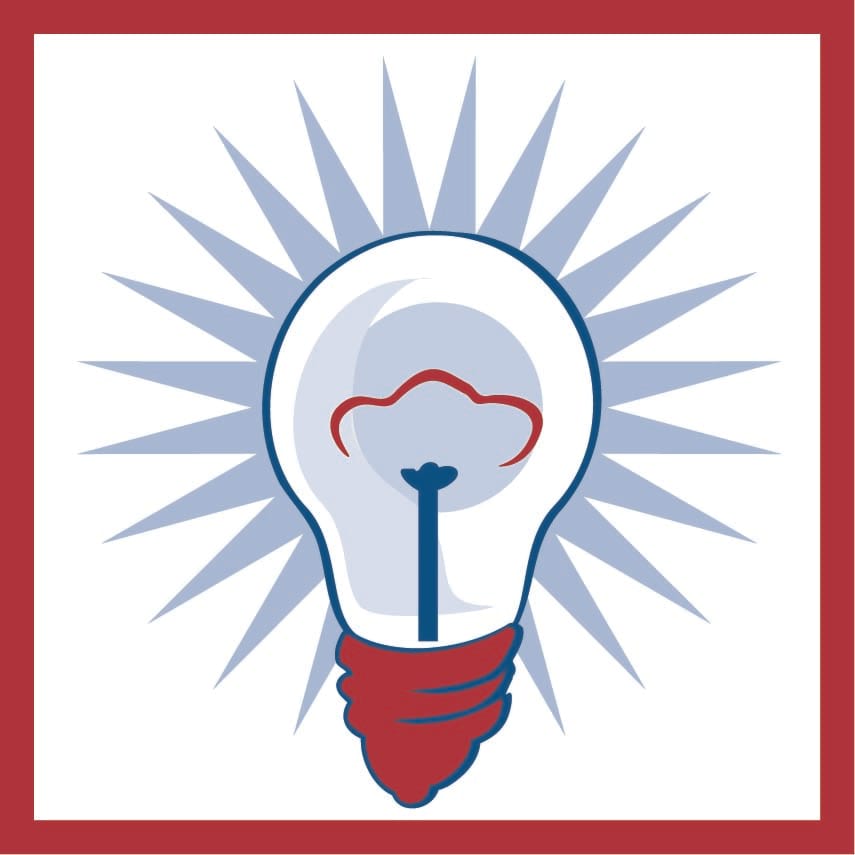 lightbulb - critical thinking islo icon