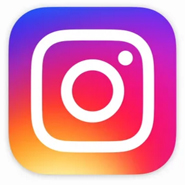 Instagram Logo and link